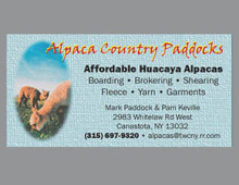 Alpaca Country Paddocks